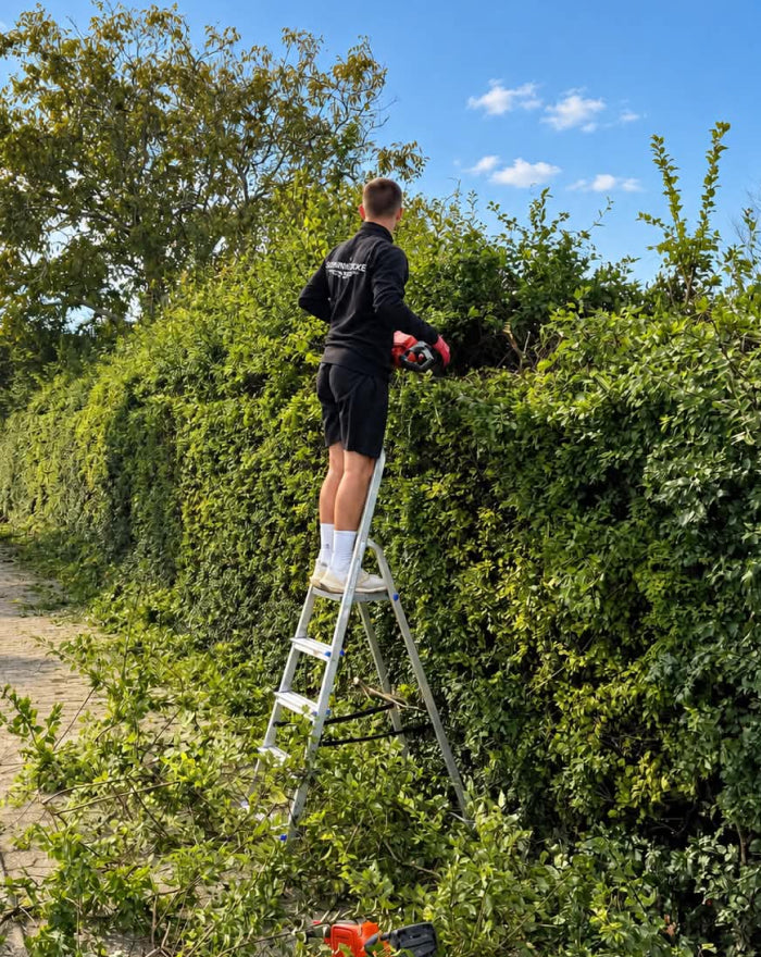 Hækkeklipning & beskæring